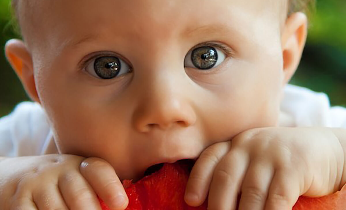 Toddler biting watermelon